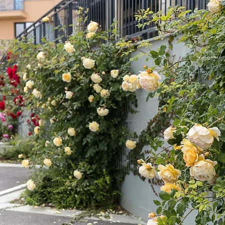 Stylish With Balcony - Bella Vita, By Flat Mаnаger Διαμέρισμα